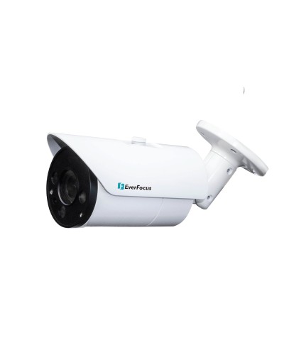 EZN-268V. Видеокамера IP купольная. EverFocus в Уфе