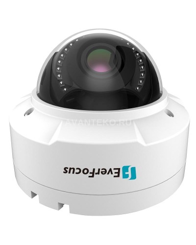 EHN-1250. Видеокамера IP купольная. EverFocus в Уфе