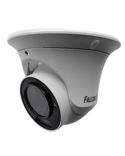 FE-IPC-DV2-40pa. Видеокамера IP купольная. Falcon EYE в Уфе