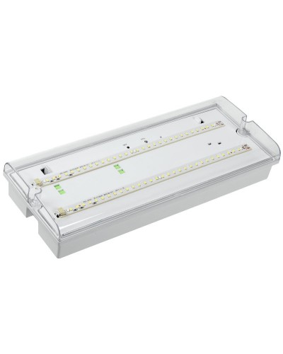 Светильник аварийный ДПА 5042-3 3ч IP65 LIGHTING (LDPA0-5042-3-65-K01). Светильник аварийный универсальный. IEK в Уфе