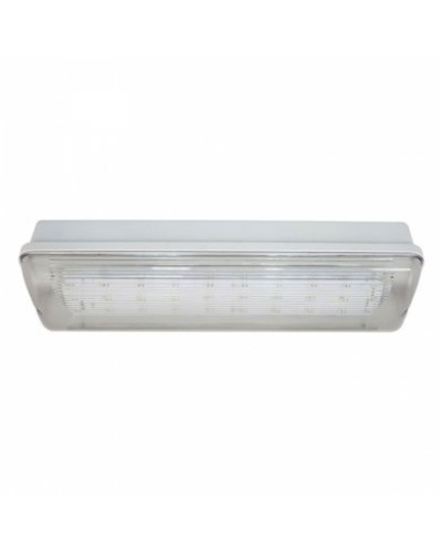 SL-213-30LED1.8 исп.1 IP54. Светильник аварийного освещения. ИП Раченков А.В. в Уфе